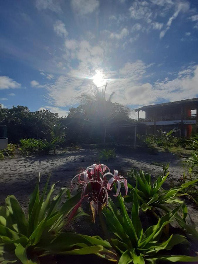 Seaside Garden Ecolodge Mompiche Esterno foto