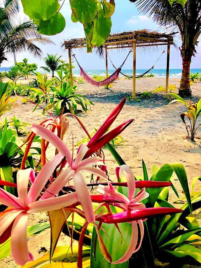 Seaside Garden Ecolodge Mompiche Esterno foto