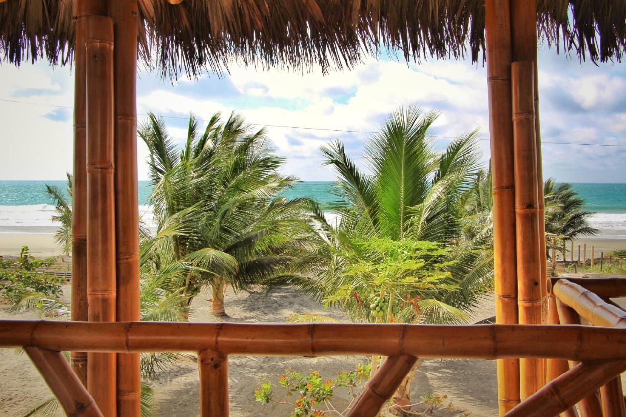 Seaside Garden Ecolodge Mompiche Esterno foto